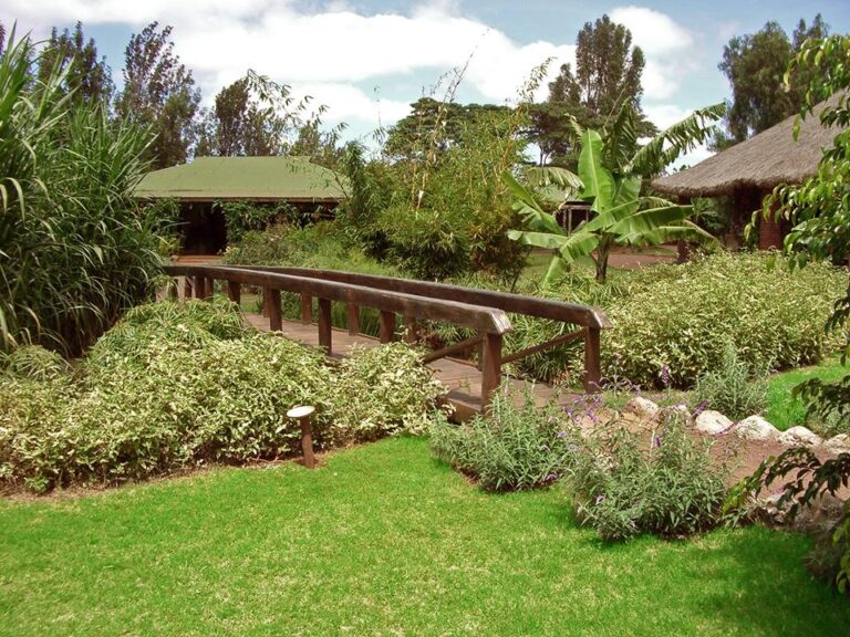 Ein gepflegter Gartenweg in Afrika mit üppiger Vegetation und traditionellen Hütten im Hintergrund.