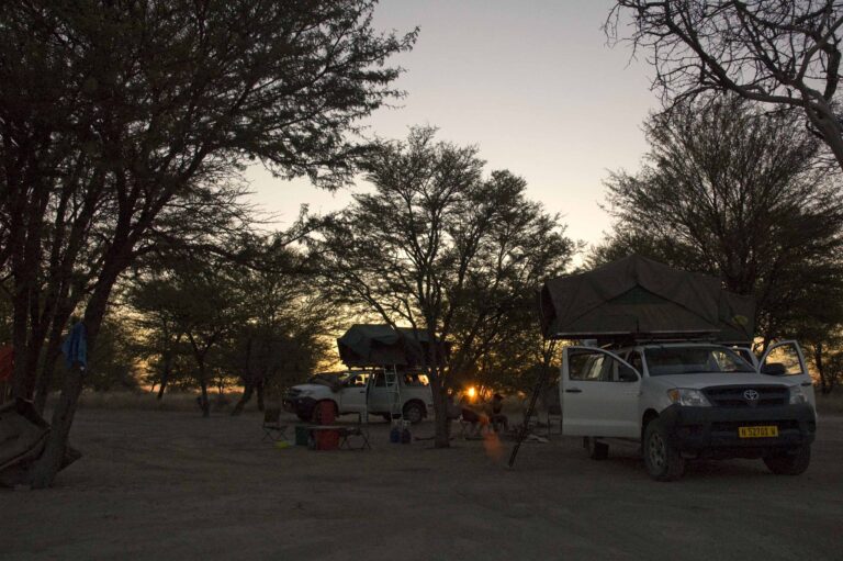 Zelte und Fahrzeuge in Afrika, ideal für Safari- und Campingreisen, um die Tierwelt zu erleben.