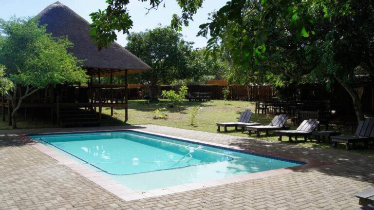 Schwimmbad mit Palmen in Afrika.