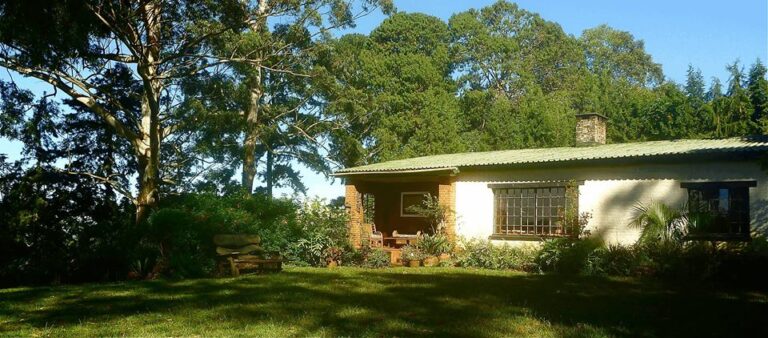 Hütten in afrikanischer Natur, ländliche Unterkunft in Afrika, Safari-Urlaub.