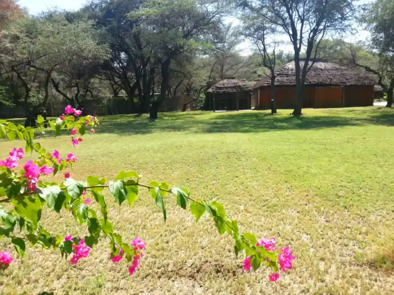 Garten in Afrika mit Bambushütte, Bäumen und bunten Blumen, ideal für Safari- und Naturreisen.