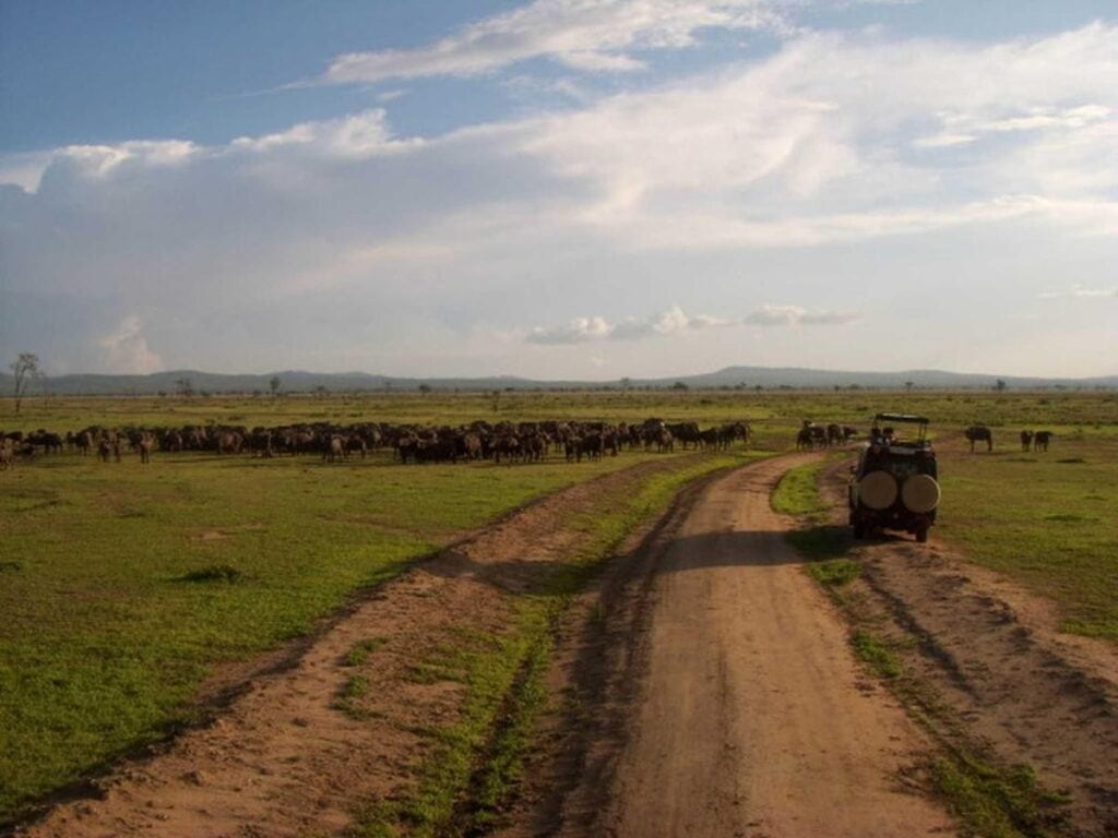 Altes Jeep fährt auf einem Sandweg durch die afrikanische Savanne, umgeben von Tieren und weiten Landschaften.