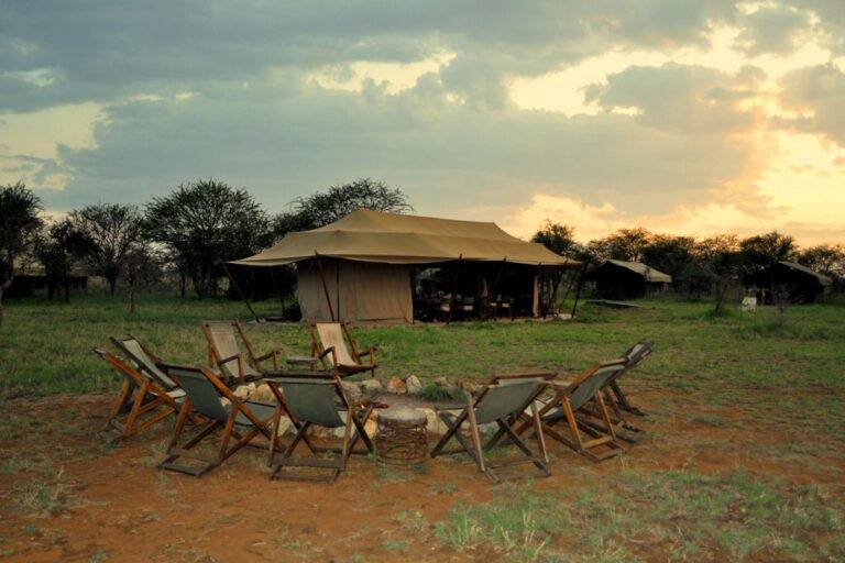 Auf einer afrikanischen Safari unter freiem Himmel am Lagerfeuer sitzen.
