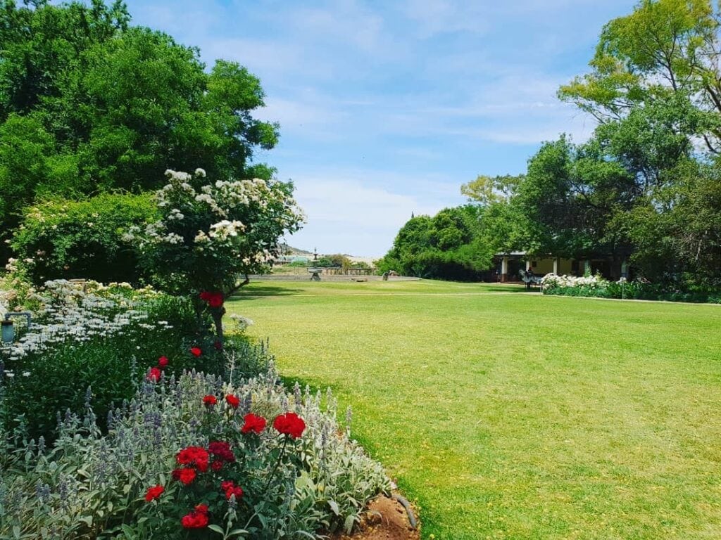 Blumen und Bäume in Afrika.