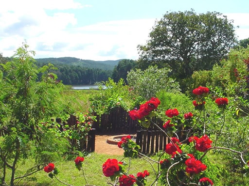 Idyllischer Garten in Afrika mit bunten Blumen und Natur, ideal für Afrikareisen und nachhaltigen Tourismus.