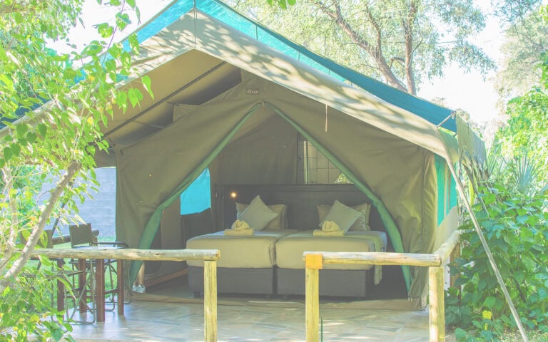 Luxus Safari Zeltort im Grünen Afrikas.