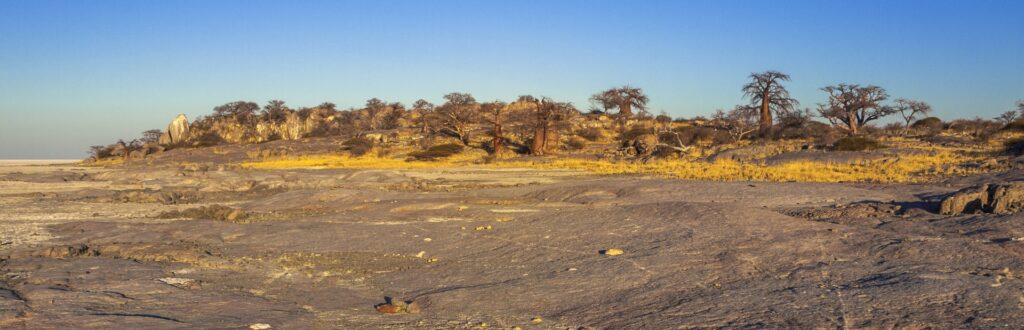 In der Wüste Tansanias in Afrika, mit kargen Felsen und Akazienbäumen, entdecken Sie die atemberaubende Natur Afrikas.