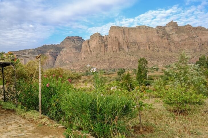Berglandschaft in Afrika mit grüner Vegetation und blühenden Pflanzen.
