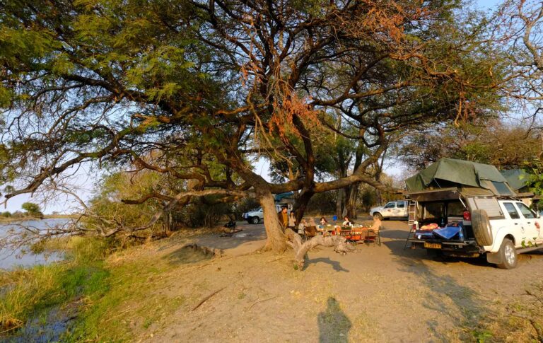 Alttext: Safari-Camp unter großen Bäumen an Fluss in Afrika, Expeditionserlebnis und Tierbeobachtung.
