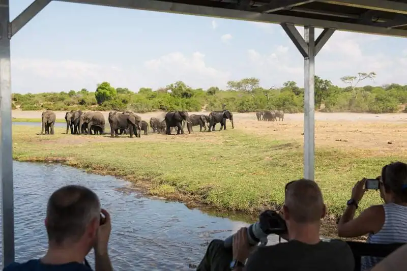 Snappshot von Safari mit Elefanten in Afrika.