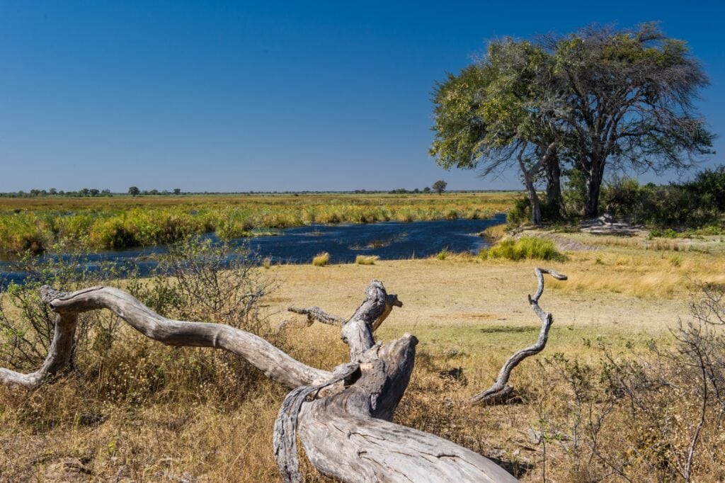 Natürliche afrikanische Savannenlandschaft mit Wasserlauf, Baum, trockenem Gras und weitem Horizont, ideal für Safari und Tierbeobachtung.