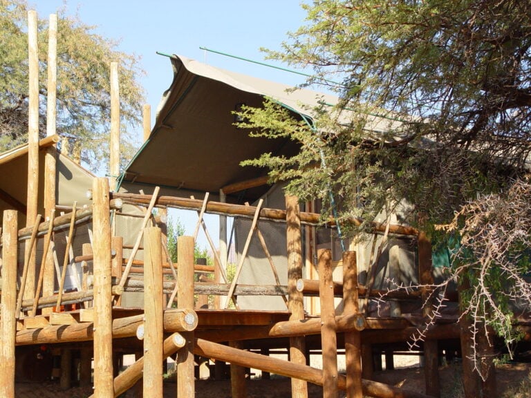 Natur- und Tiererlebnis in afrikanischer Wildnis.