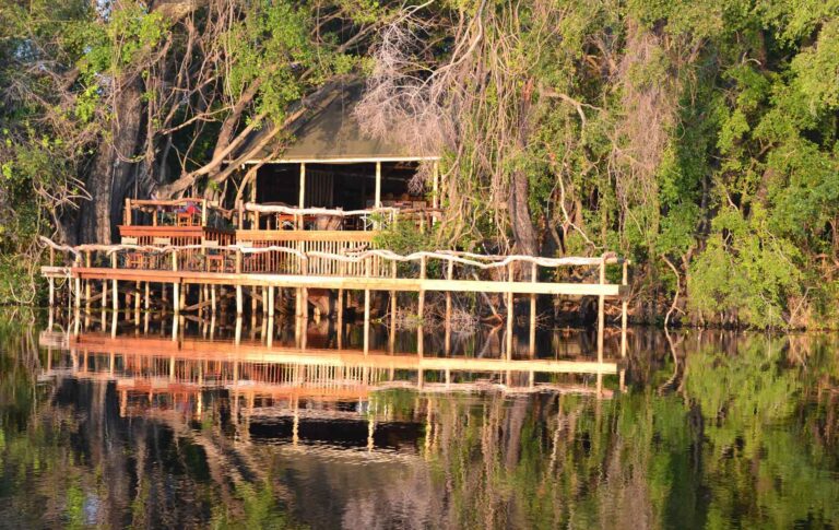 Reflektierende Wasserlandschaft mit Baumhaus in afrikanischer Natur.