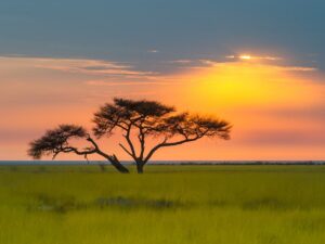 Etosha Nationalpark Sonnenuntergang