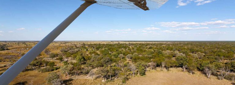 Vogelperspektive Afrikas in der Savanne.