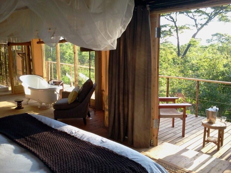 Luxus Safari Lodge mit Baumhaus-Design, Blick auf afrikanischen Dschungel, Natur und Wildtiere.