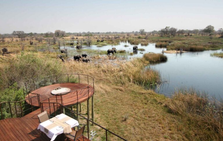 Blick von einem Lodge-Terrasse mit Blick auf Elefanten beim Baden in der Natur, afrikanische Tierwelt, Safari Afrika, Naturschutz, Tierbeobachtung.