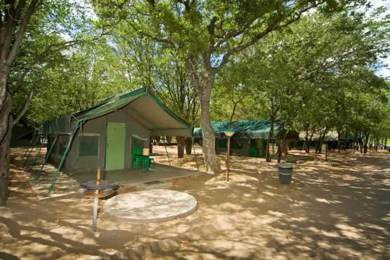 Zeltcamp in Afrikas Natur, ideal für Safari-Reisen, mit Schatten spendenden Bäumen, authentische Afrika-Erfahrung.