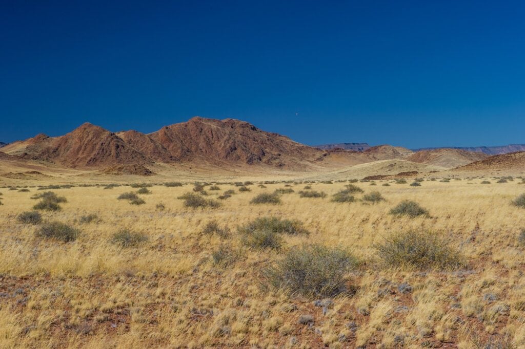Schöne afrikanische Savanne mit Bergen und trockener Vegetation unter klarem blauen Himmel.