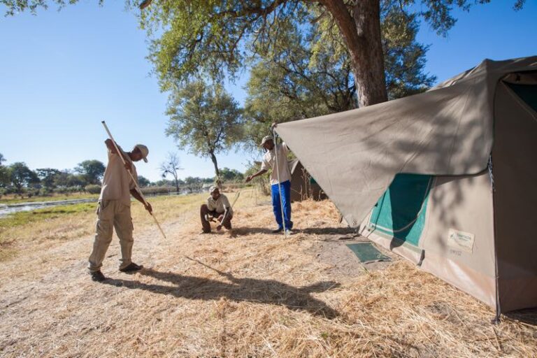 Zelt in afrikanischer Natur, Safari-Abenteuer unter freiem Himmel.