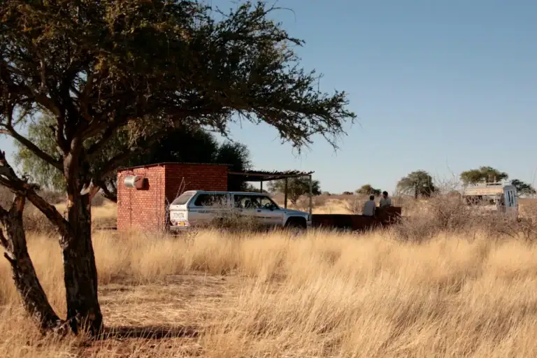 Alte Land Rover Fahrzeuge in afrikanischer Savanne.