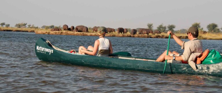 Bootstour mit Wildtieren in Afrika.