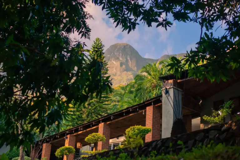 Alt: Panoramaaufnahme mit Blick auf Berge, Dschungel und afrikanische Vegetation.