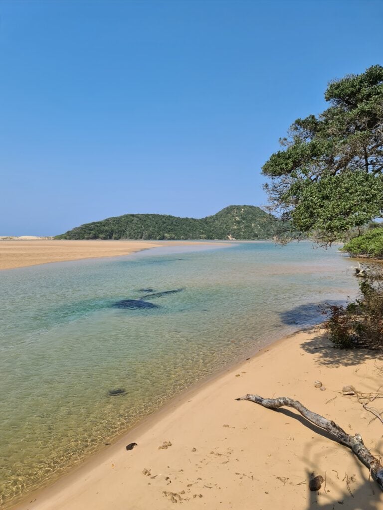 Süßer Strand am Fluss in Afrika, Palmen, klares Wasser, Natur, Urlaub, Afrika-Reise.