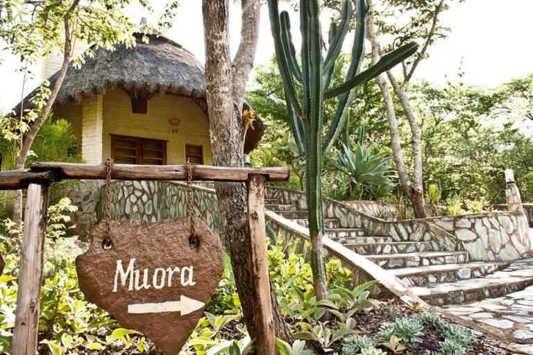 Details: Tropischer Hof mit Steintreppe, Kakteen und Naturpfad.