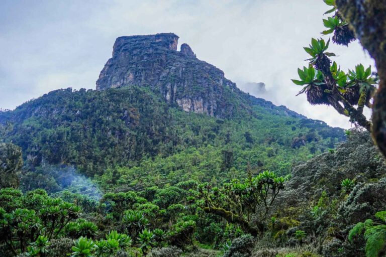 Mutinda Lookout Punkt in den Rwenzori Mountains