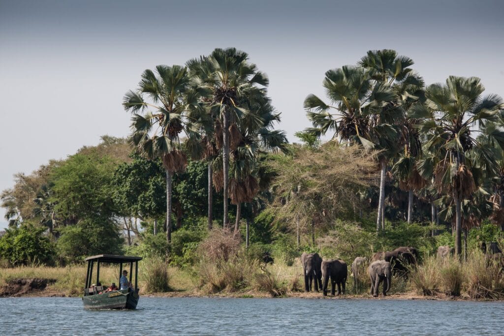 Erholsames Afrika Reiseerlebnis mit Bootssafari, Elefanten und Palmen im Naturschutzgebiet.