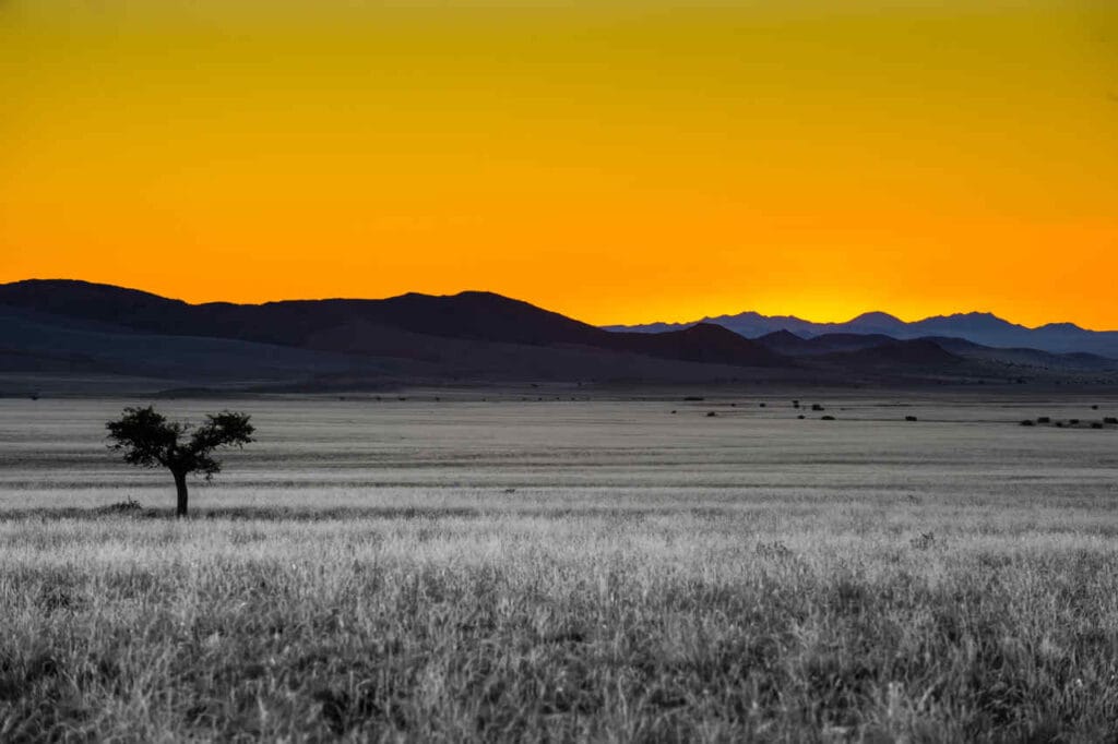 Weite afrikanische Savanne bei Sonnenuntergang mit single Baum und Bergsilhouetten.