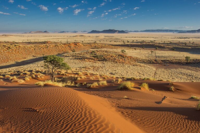 Atemberaubende Sanddünen in der afrikanischen Wüste.