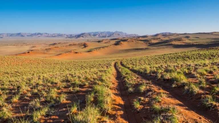 Auffällige Afrika Wüstenregion mit Plantagen, roten Sand, Berge und beeindruckende Natur, ideal für Afrika Reisen.