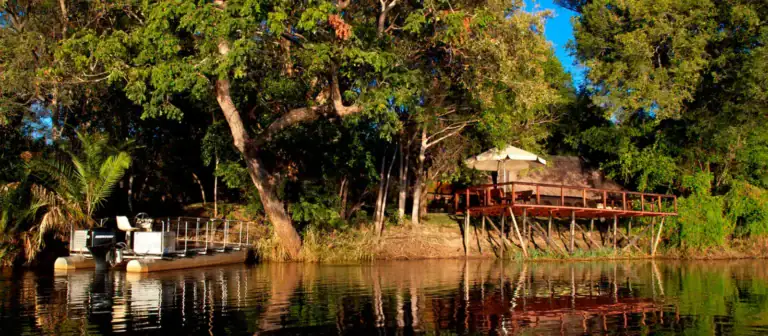 Bezaubernde Natur mit Holzsteg und Wasser im afrikanischen Dschungel.