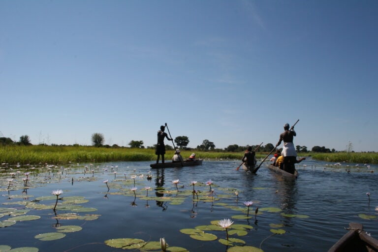 Menschen auf einem Boot in einer Seenlandschaft mit Lotusblumen, Afrika-Reiseabenteuer.