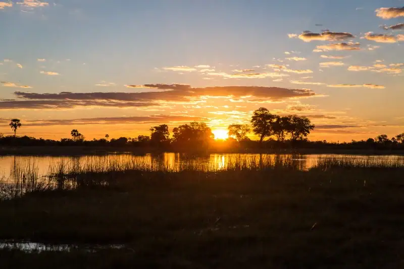 Sonnenuntergang über einem afrikanischen Fluss mit Palmen und Tieren, ideales Reiseziel für Afrika Safari.