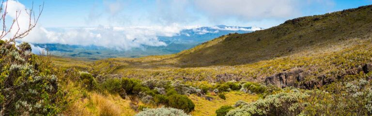 Beeindruckende Natur im Tansania Nationalpark mit Bergen und Vegetation.