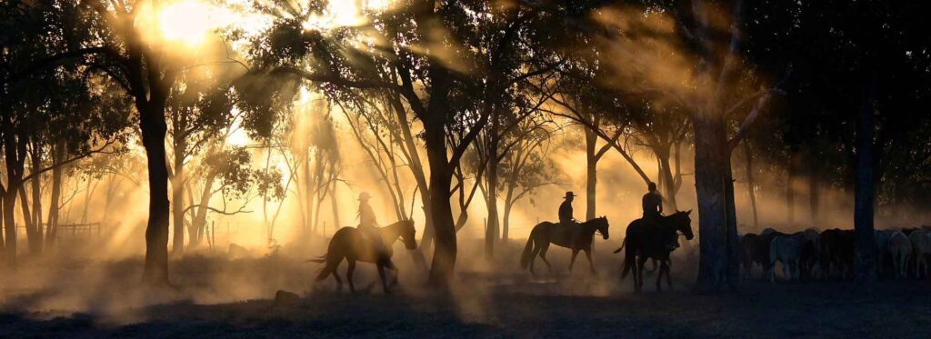 Menschen reiten auf Pferden durch den Sonnenaufgang im afrikanischen Busch, umgeben von Bäumen und goldenen Sonnenstrahlen, ideal für Afrika Erlebnisreisen.