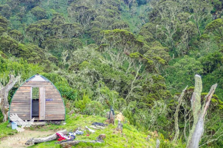 Gemütliche Safari-Lodge inmitten des afrikanischen Regenwaldes, perfekte Unterkunft für Natur- und Safariabenteuer.