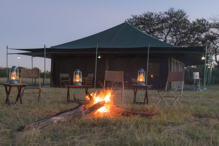 Stimmungsvolle Afrikacamp-Szene mit Lagerfeuer, Zelten und Laternen in der afrikanischen Savanne.
