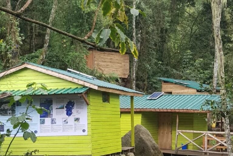 Alt-Text: Bunte Holzhütten im grünen Regenwald, nachhaltiger Ökotourismus in Afrika.