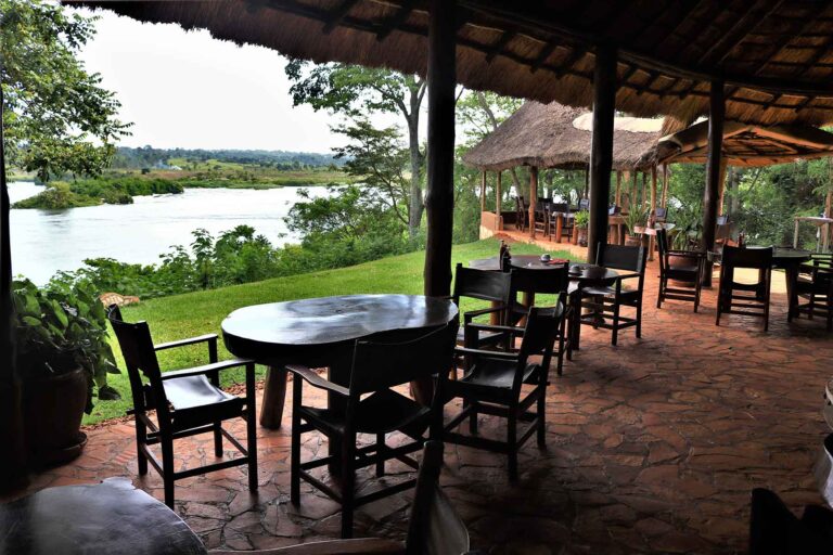 Tropische Lodge mit Flussblick, afrikanische Tierwelt, luxuriöses Safari-Erlebnis.