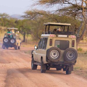 Selous Game Reserve / Nyerere Nationalpark Tansania Safari in der Kleingruppe