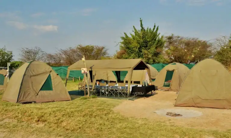 Zeltcamp in der afrikanischen Wildnis für Safari-Urlaub und Naturerlebnis.