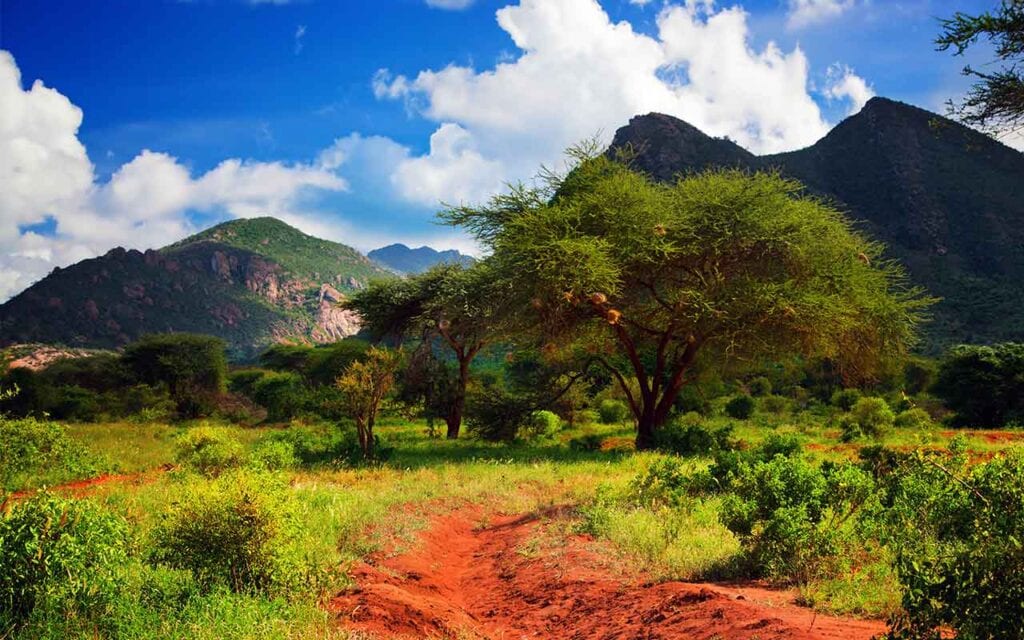 Bunte Savannenlandschaft mit Akazien und Bergen, typisch für Safari-Reisen in Afrika.