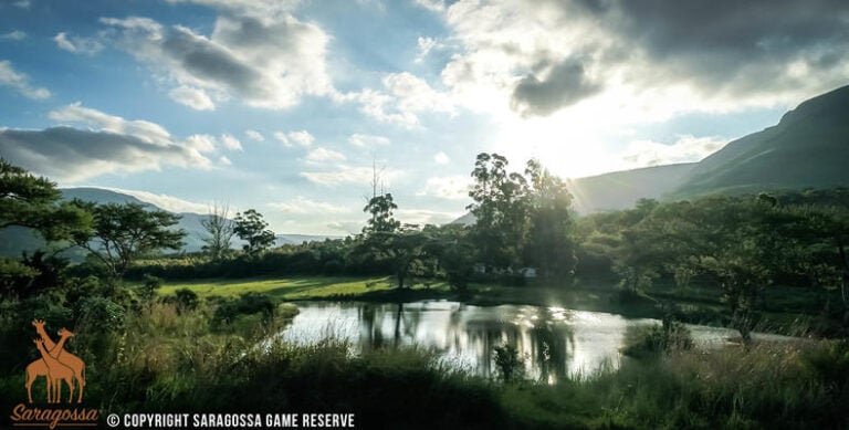 Eine malerische Landschaft in Afrika mit Wasser, Bäumen und Bergen, ideal für Safari-Abenteuer.