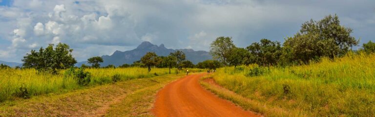 Straße durch die afrikanische Savanne, Natur, Abenteuer, Tierwelt, Safari.