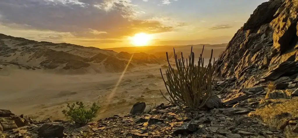Aussicht auf die Sahara-Wüste mit gelben Dünen bei Sonnenuntergang, Wüstenlandschaft in Nordafrika, Afrika Reisen.