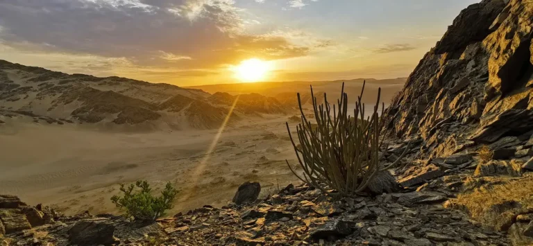 Namibia Autorundreise 18 Tage